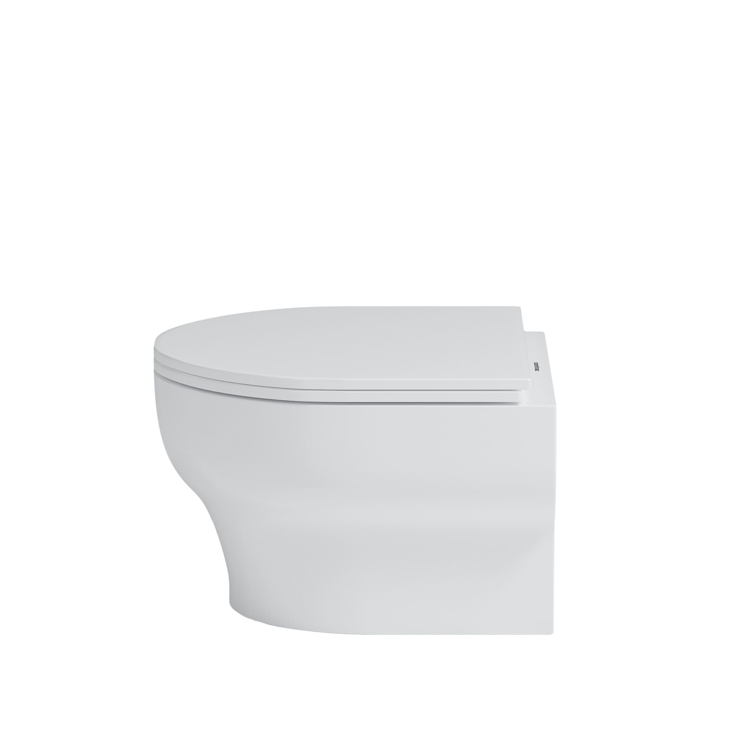 Eglinton – CTL-3130A-WL Tank Carrier and Bowl Kit